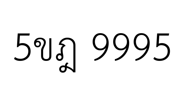 5ขฎ 9995